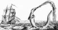 Hans Egede sea serpent 1734.jpg