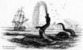 Hans Egede 1734 sea serpent.jpg