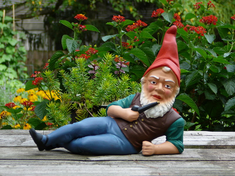 File:German garden gnome.jpg