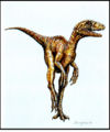 Eoraptor 2.jpg